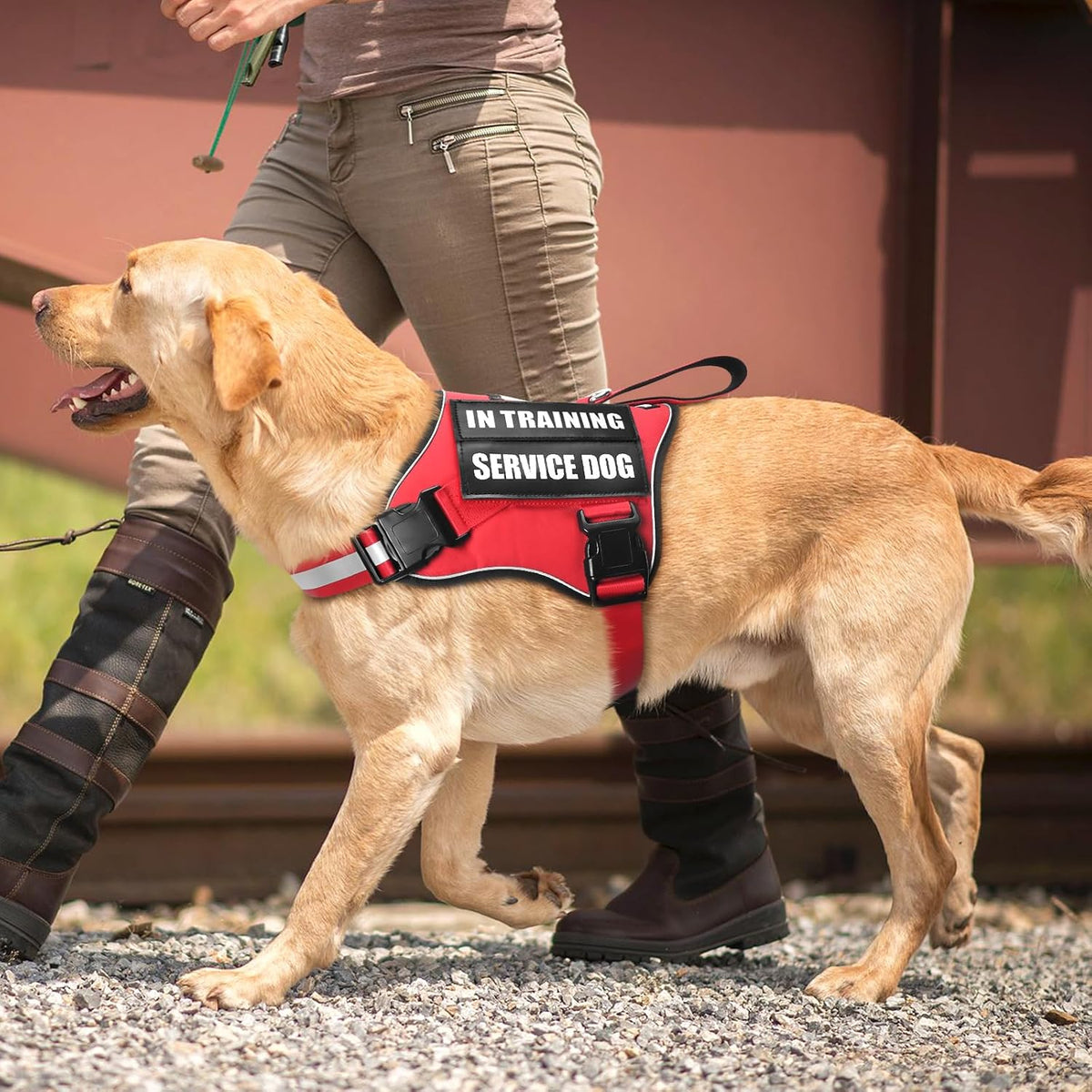 Service Dog Vest Harness and Leash Set+10 Patches - Extra-large / Red - image 2