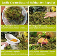 14OZ Natural Sphagnum Moss for Reptile Terrarium Substrate Bedding – Daily Care for Reptiles And Amphibians - 14 OZ - image 4