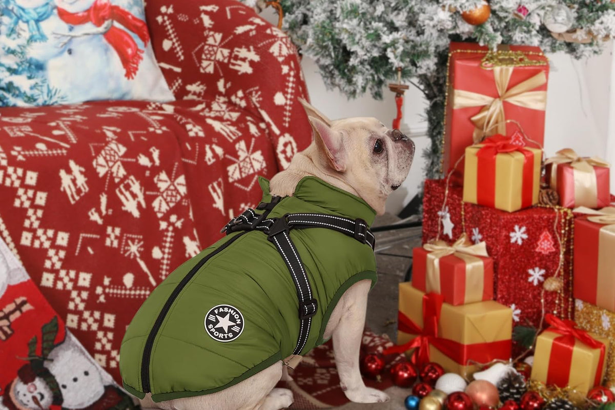 Aiboria Dog Jackets Coat for Winter Windproof Waterproof Skiing Dog - ArmyGreen / Medium - image 3