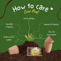 2 Pack Premium Coco Coir Brick for Plants | 100% Organic Compressed Coconut Coir Bricks Starting Mix, Coco Coir Fiber Coconut Husk for Planting, Gardening, Potting Soil Substrate, Herbs, 1.4 LB/Brick
