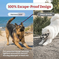 Harness Lead Escape Resistant, Reduces Pull Dog Harness - Black Reflective / Small/Medium (14-40 lbs) - image 2