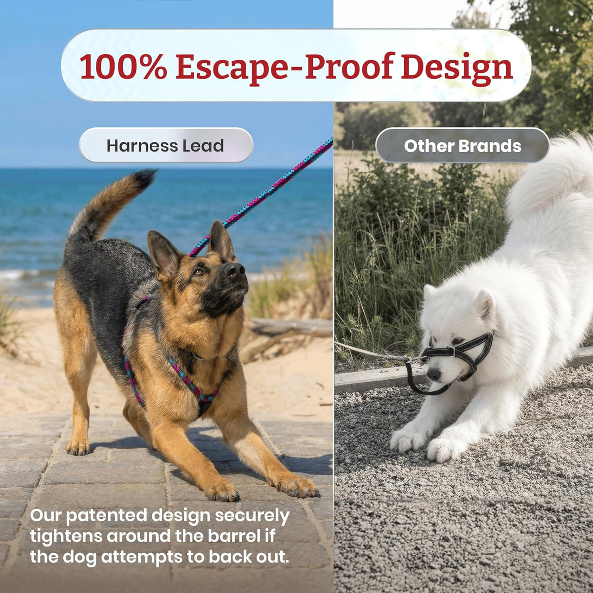 Harness Lead Escape Resistant, Reduces Pull Dog Harness - Black Reflective / Small/Medium (14-40 lbs) - image 2