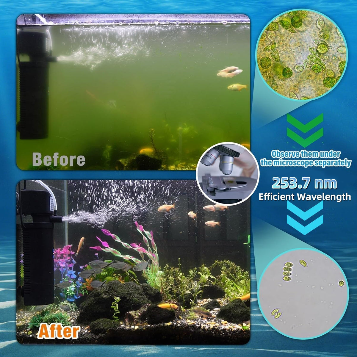 TARARIUM U-V Aquarium Filter for Fish Turtle Tank - Medium fit 20-75Gal - image 3