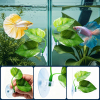 CousDUoBe 2 Pack Betta Fish Leaf Pad Improves Betta's Health - 2 Pack - image 3