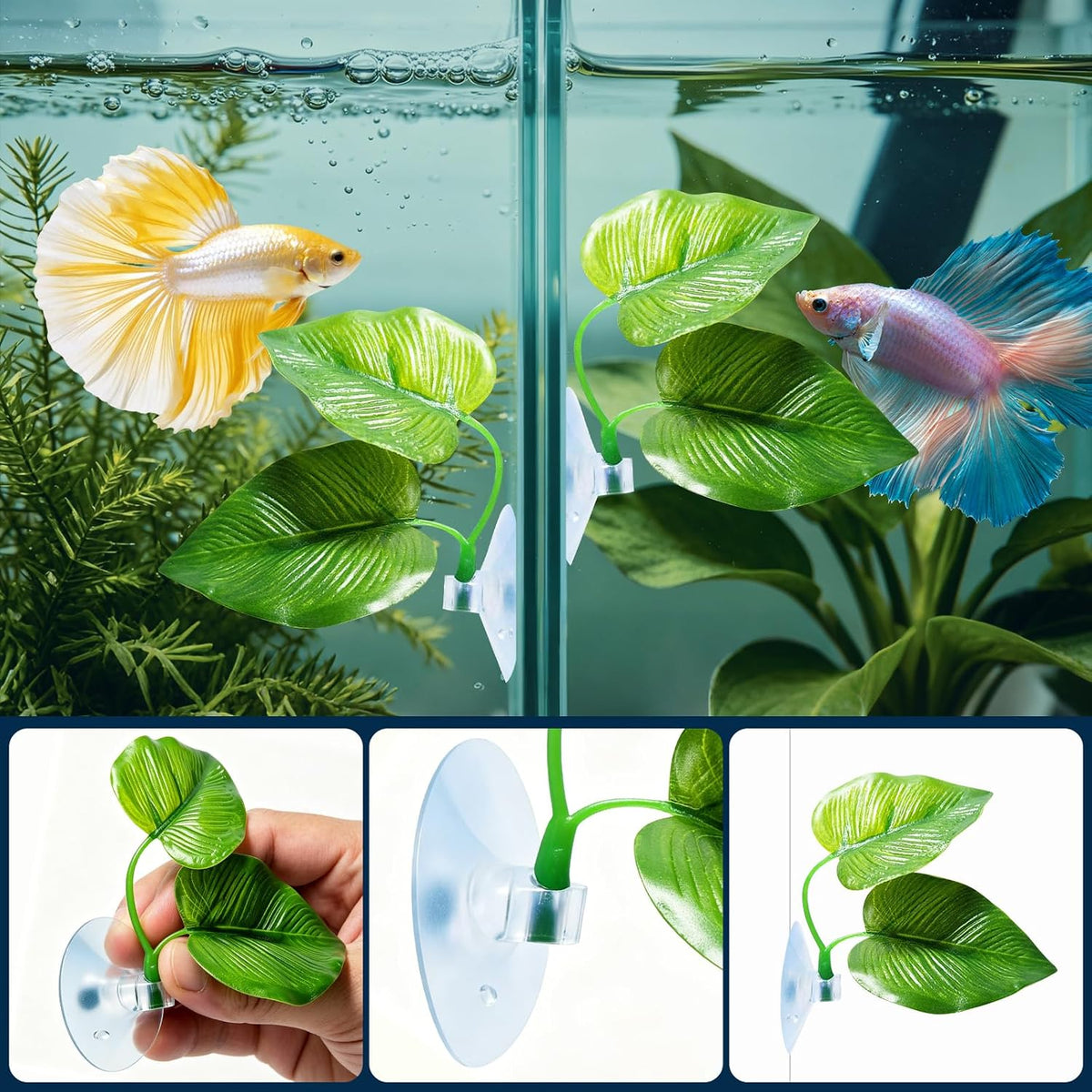 CousDUoBe 2 Pack Betta Fish Leaf Pad Improves Betta's Health - 2 Pack - image 3