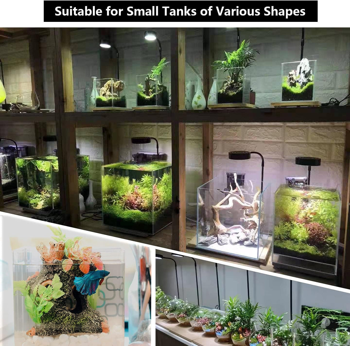 AREPK Aquarium & Terrarium Light Full Spectrum LED - 9.0 Watts - image 2