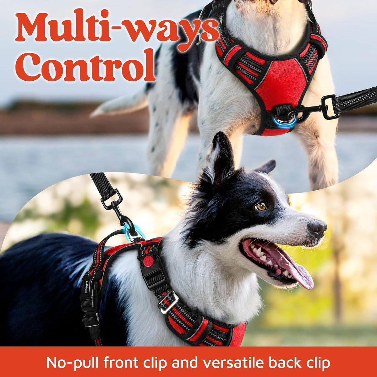 rabbitgoo Dog Harness for Large, No Pull 3 Buckles Easy On & Off – Essentials for Dogs - Red / Medium - image 3