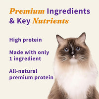 Halo Freeze Dried Raw Cat Treats, 100% Wild Caught Salmon Recipe, Cat Treats Pouch, All-Natural High Protien Treat, 1.6 Oz Pouch