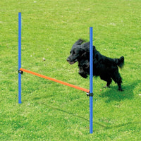 PAWISE Dog Agility Training Equipment - image 4