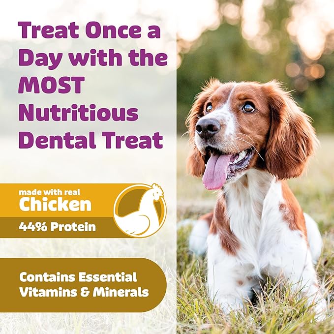 Dog Dental Treats – Vet VOHC Approved – Delicious Chicken Protein – Removes Tartar with Cleaning Comb Shape – Dental Dog Treats for Extra Large Dogs (12oz, 6 Count)