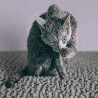 CatGuru Cat Litter Mat, Waterproof Litter Box Mat - Gray/ Heavy-Duty / X-Large - image 2