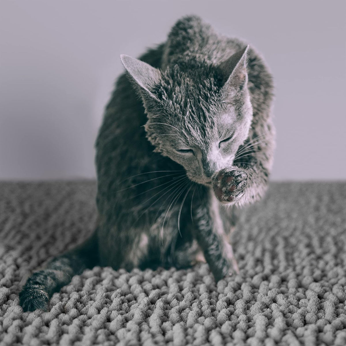 CatGuru Cat Litter Mat, Waterproof Litter Box Mat - Gray/ Heavy-Duty / X-Large - image 2