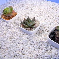 3lb Cactus Pea Gravel Rocks - 7LB / White Onyx - image 4