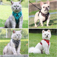 XL Cat Harness Escape Proof for Heavy Cats Adjustable for Extra Large - M / Fuchsia - image 4