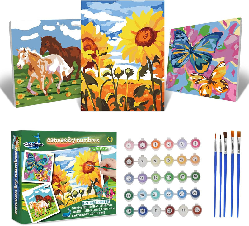 3 Pack Paint by Numbers for Kids Ages 8-12 - Landscape Art