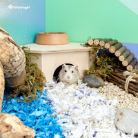 Niteangel Birch Chamber-Maze Hamster Hideout - 1 Chamber Hideout-Small - image 3