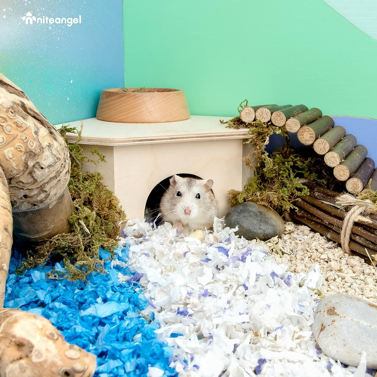 Niteangel Birch Chamber-Maze Hamster Hideout - 1 Chamber Hideout-Small - image 3