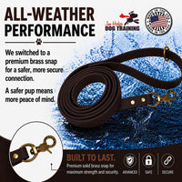 Biothane Leash, Brass, 6 ft x 5/8, Black – Essentials for Dogs - 3/4 / Brown - image 3