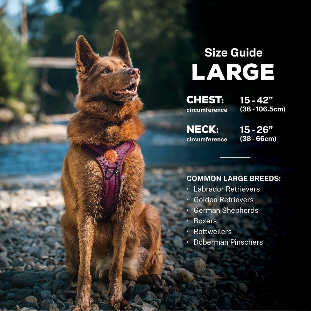 Wilderdog Lightweight Dog Harness with Reflective Straps - Ember / Large - image 2