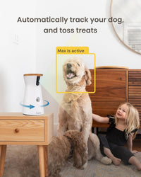 Furbo 360° Dog Camera [Core Features, No Ongoing Cost] – Essentials for Dogs - No Subscription Required / 360° Dog Camera - image 3