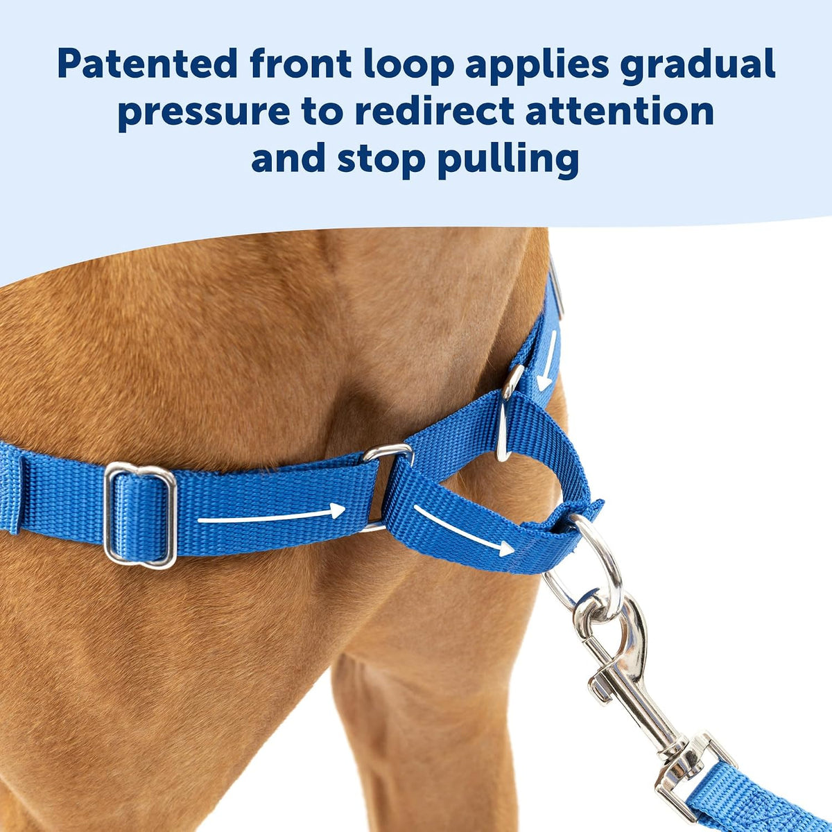 PetSafe Easy Walk Harness, No Pull Dog Harness, Royal Blue - Royal Blue/Navy Blue / Medium/Large / 1 - image 4