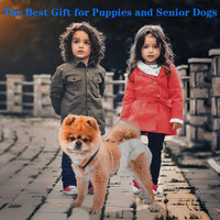 2 Pieces Dog Diaper Suspenders - Rainbow, Blue / M - image 3