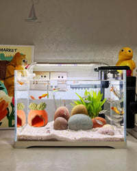 Pink Aquarium Decor Ceramic Cute Strawberry Betta Fish Tank Cave – Essentials for Fish - Orange / Carrot - image 2