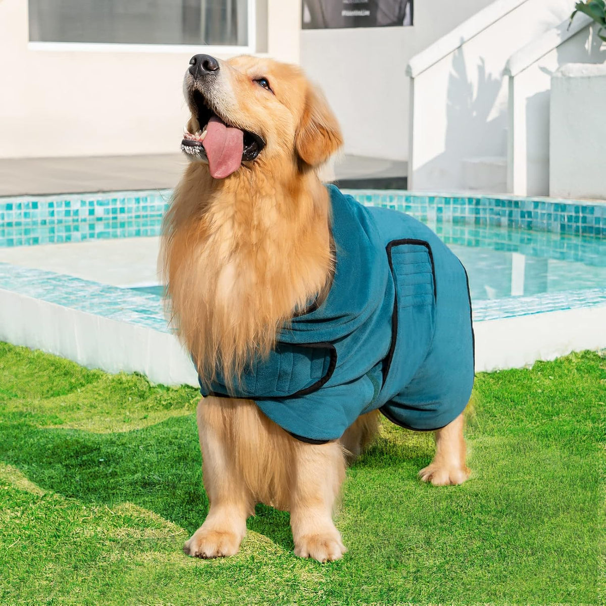 Avont Dog Bathrobe – Super Absorbent Quick-Dry Microfiber Hooded Robe – Essentials for Dogs - Blue / XX-Large - image 3