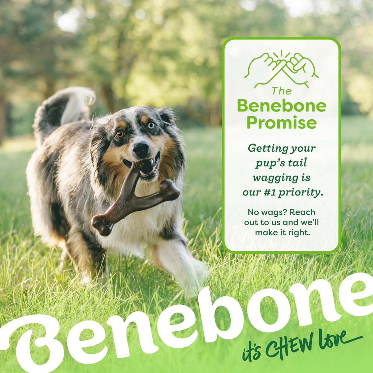 Benebone Wishbone Dog Chew Toy for Aggressive Chewers - REAL Peanut / Large - image 4
