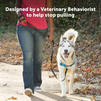 PetSafe Easy Walk Deluxe Dog Harness, No Pull Dog Harness - Medium/Large / Ocean - image 3