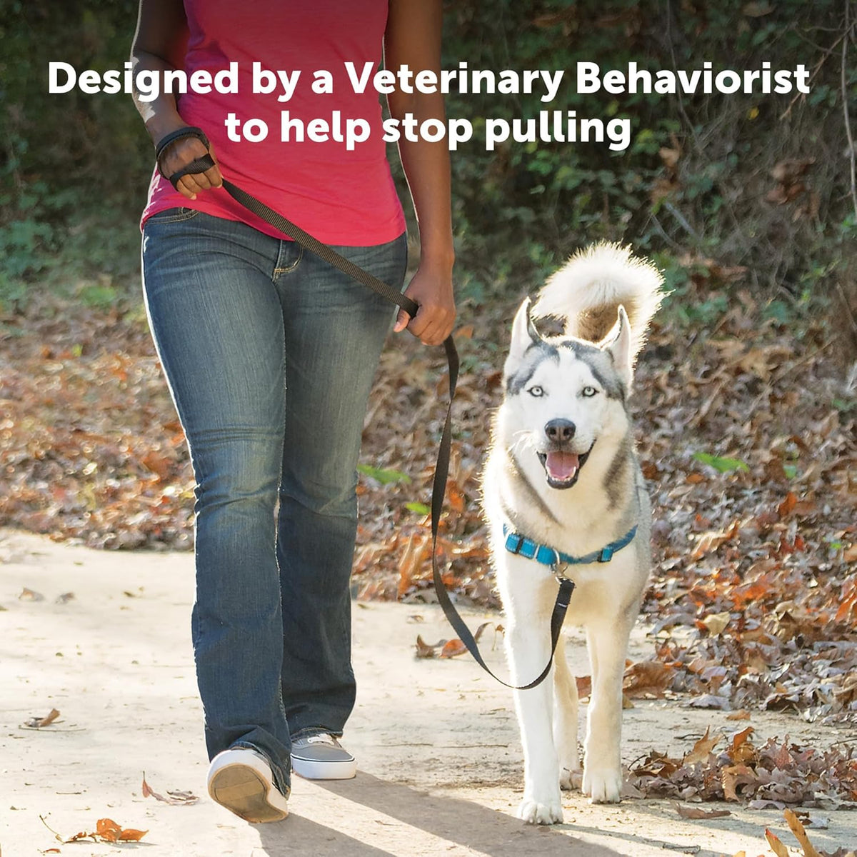 PetSafe Easy Walk Deluxe Dog Harness, No Pull Dog Harness - Medium/Large / Ocean - image 3