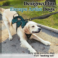 rabbitgoo Escape Proof Dog Harness for Large - Dark Green / Medium - image 3