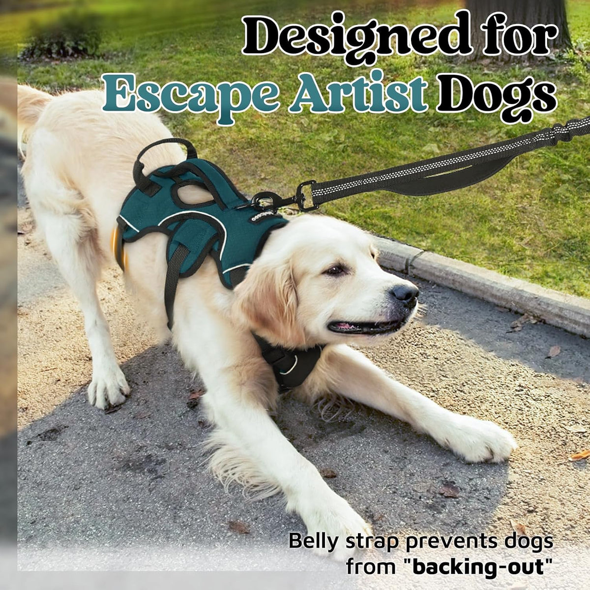 rabbitgoo Escape Proof Dog Harness for Large - Dark Green / Medium - image 3