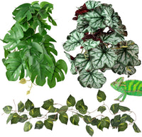 KATUMO Reptile Plants, Bearded Dragons, Lizards, Geckos, Toads - Green+white
