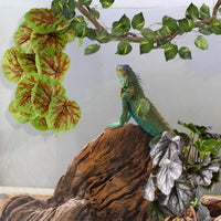 KATUMO Reptile Plants, Bearded Dragons, Lizards, Geckos, Toads - Green+purple - image 4