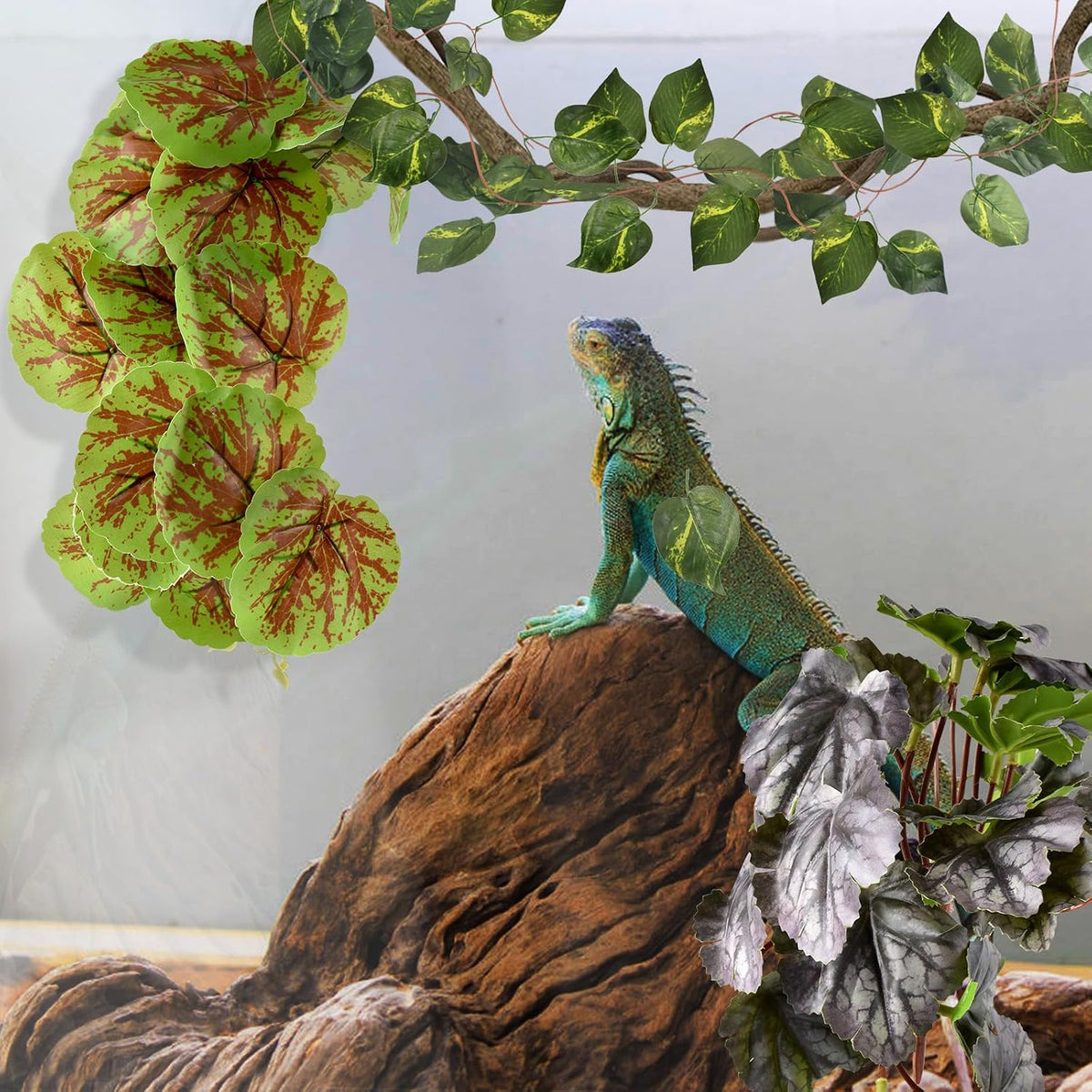 KATUMO Reptile Plants, Bearded Dragons, Lizards, Geckos, Toads - Green+purple - image 4