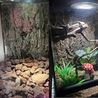 2PCS Cork Terrarium Background - 2Pcs-11.8” x 11.8” - image 3