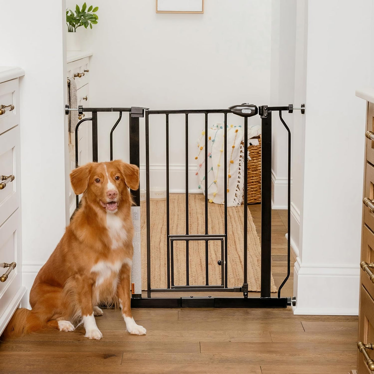 Carlson 29–36.5" Extra Wide Walk-Thru Dog Gate with Small Pet Door, White – Essentials for Cats - Black / 29-36.5"W x 30"H