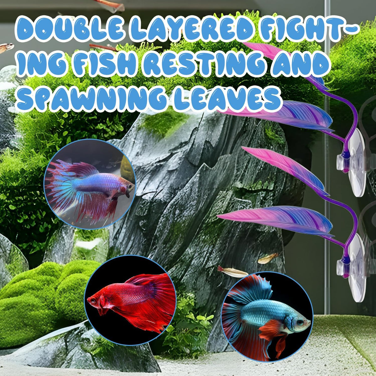 Betta Fish Hammock Set, Suction Tunnel, Aquarium Decor - image 4