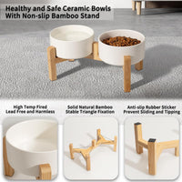 Elevated Ceramic Dog Bowl - White / Medium - image 3
