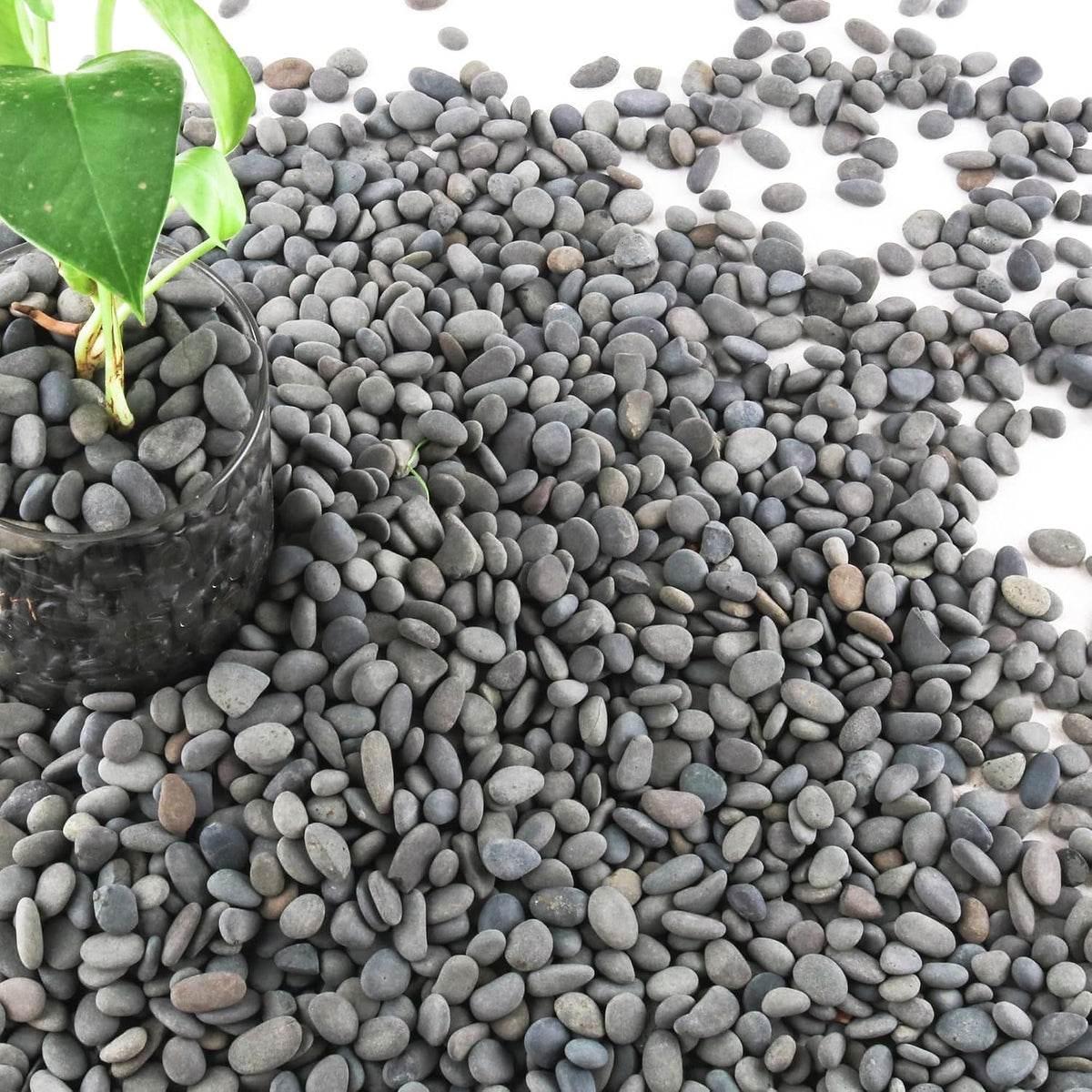 2.4lb River Rocks Pebbles for Plants & Succulents - 7LB / Small