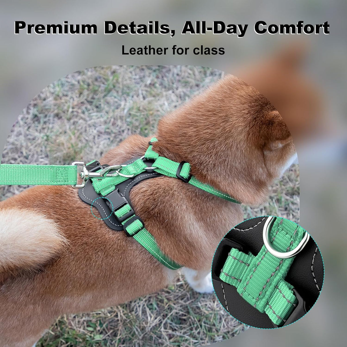 Plutus Pet No Pull Dog Harness with Leather Accents - M / Teal - image 2