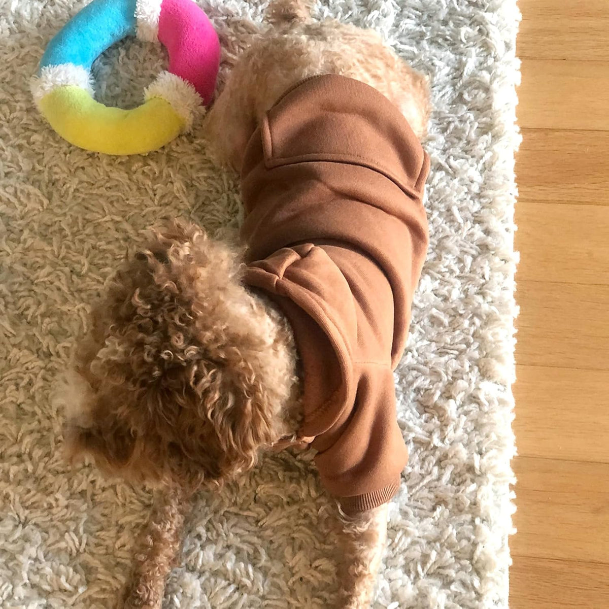 Soft Dog Hoodies for Small Dogs - Coffee / Large - image 2