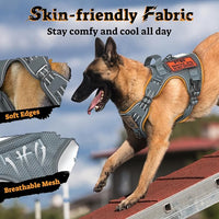 rabbitgoo Dog Harness Medium Sized No Pull, Tactical Service Pet Vest with Molle and Control Handle, Adjustable and Reflective Military Harness for Easy Walking and Training, Grey, M