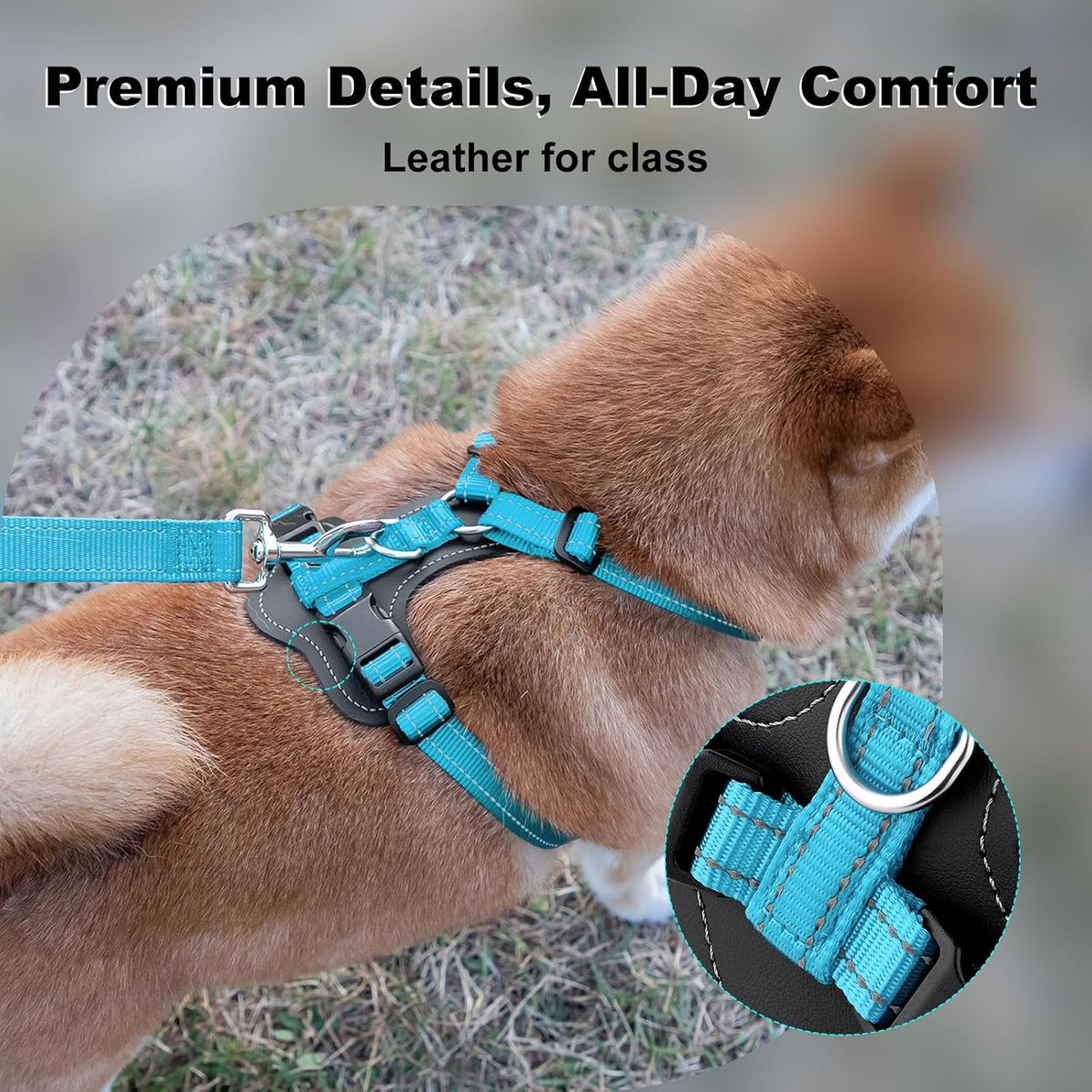 Plutus Pet No Pull Dog Harness with Leather Accents - S / Light Blue - image 2