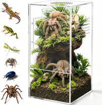 Pre-Assembled Jumping Spider Enclosure, All-Side Ventilation – Essentials for Reptiles And Amphibians - Large Vertical (5"×5"×10")
