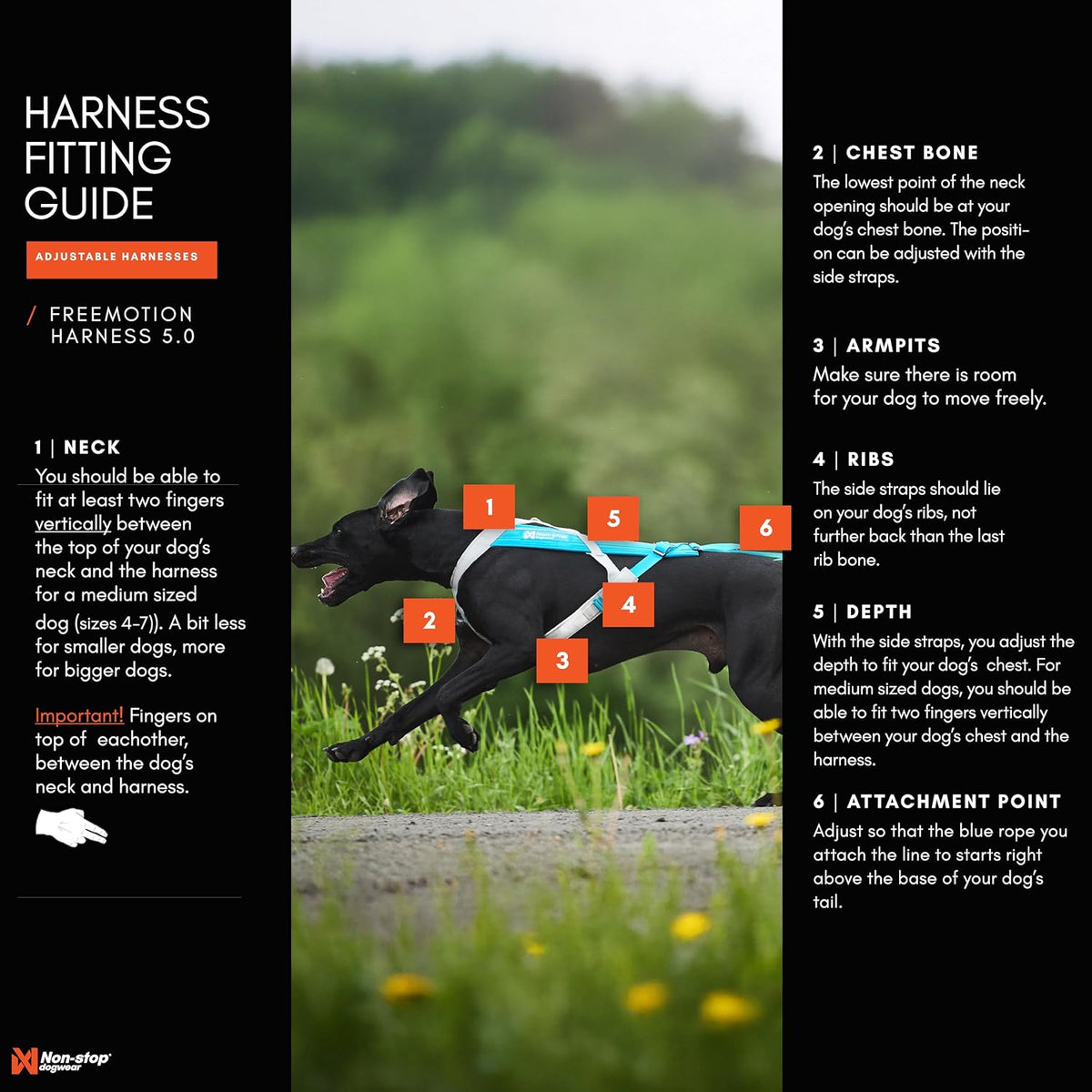 Non-stop Dogwear Freemotion 5.0 Dog Pulling Harness, Blue/Gray - 4 / Orange / Black - image 3