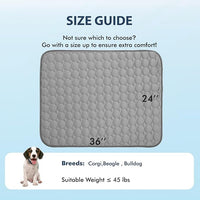 MICROCOSMOS Summer Cooling Mat & Sleeping Pad- Water Absorption Top, Materials Safe, Easy Carry, EZ Clean. Keep Cooling for Pets, Kids and Adults.(Drak Grey, 36" x24")