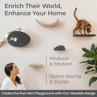 Wall Mounted Cat Perch Long Shelf by Pryde Pets - Floating Hammock Bed, 100% Sustainable PET Felt Feline Enrichment Climber Furniture for Indoor Cats, Modern Climbing Gym Jungle Design (Charcoal)