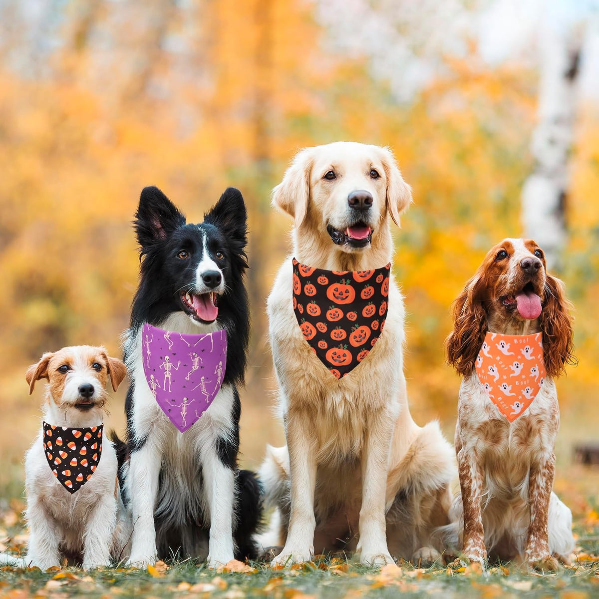Halloween Dog Bandanas, L - X-Large / Halloween - image 2